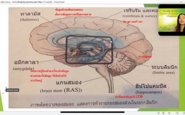 อบรม “การจัดการเรียนการสอนตามหลักสูตรแกนกลางการศึกษาขั้นพื้นฐาน พุทธศักราช 2551 เพื่อเตรียมครูสู่หลักสูตรฐานสมรรถนะ “ (วันที่ 1-2 กันยายน 2564 เวลา 09.00-16.00 น.) 